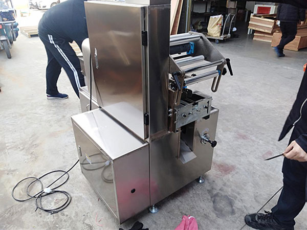 PZB-600E Automatic High Speed Pillow Packing Machine