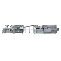 FDL-260 Automatic blister packing machine and automatic cartoning machine packing production line