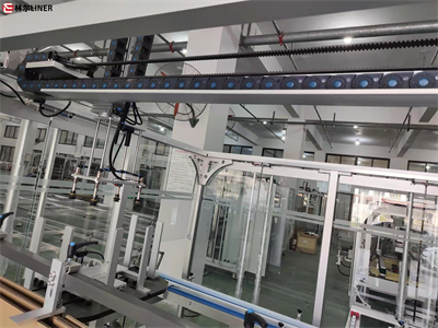 LE -600 Case Packer Machine Linkage Line