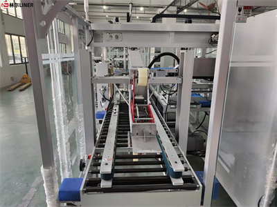 LE -600 Case Packer Machine Linkage Line