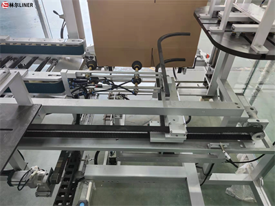 LE -600 Case Packer Machine Linkage Line