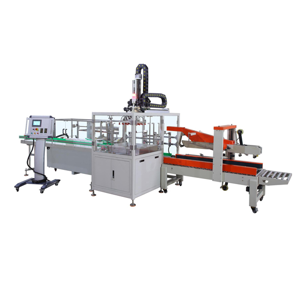 LE-800 Automatic Grab type Case Packer Machine Linkage Line